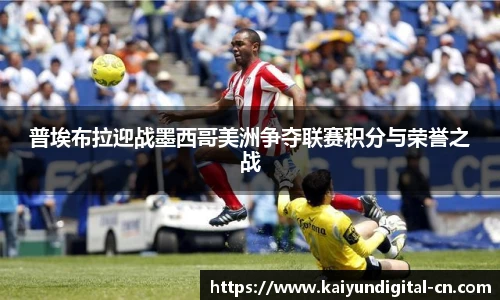 开云