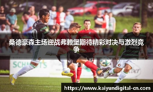 桑德豪森主场迎战弗赖堡期待精彩对决与激烈竞争